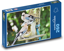 Jay - Vögel Puzzle 260 Teile - 41 x28,7 cm