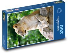 Lwica Puzzle 260 elementów - 41x28,7 cm