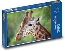 Żyrafa Puzzle 260 elementów - 41x28,7 cm