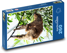 Lenochod Puzzle 260 dílků - 41 x 28,7 cm