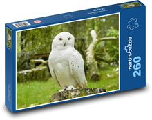 Snowy owl Puzzle 260 pieces - 41 x 28.7 cm 
