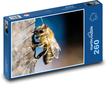 Včela Puzzle 260 dielikov - 41 x 28,7 cm 