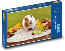 Meerschweinchen Puzzle 260 Teile - 41 x28,7 cm
