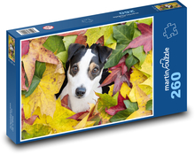 Jack Russell terrier Puzzle 260 elementów - 41x28,7 cm