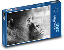 Gorilla - monkey Puzzle 260 pieces - 41 x 28.7 cm 