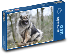 Eurasier - pes Puzzle 260 dílků - 41 x 28,7 cm