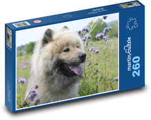 Eurasier Hund in Blumen Puzzle 260 Teile - 41 x28,7 cm