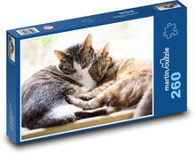 Spící kočky Puzzle 260 dílků - 41 x 28,7 cm
