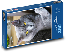 Kot brytyjski krótkowłosy Puzzle 260 elementów - 41x28,7 cm