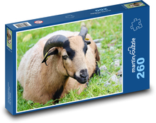 Domáca koza Puzzle 260 dielikov - 41 x 28,7 cm 
