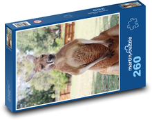Das Känguru Puzzle 260 Teile - 41 x28,7 cm