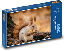 Veverica Puzzle 260 dielikov - 41 x 28,7 cm 