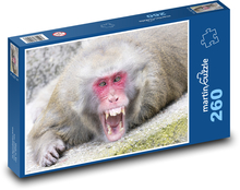 Monkey Puzzle 260 pieces - 41 x 28.7 cm