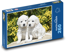 Šteniatko zlatého retrievera Puzzle 260 dielikov - 41 x 28,7 cm 