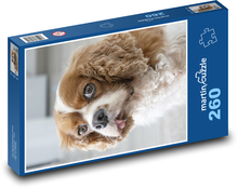 King Charles španěl - pes Puzzle 260 dílků - 41 x 28,7 cm