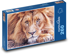 Lev Puzzle 260 dílků - 41 x 28,7 cm