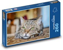 Zelenooká mačka Puzzle 260 dielikov - 41 x 28,7 cm 