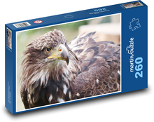 Głowa orła Puzzle 260 elementów - 41x28,7 cm