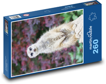 Meerikata Puzzle 260 elementów - 41x28,7 cm