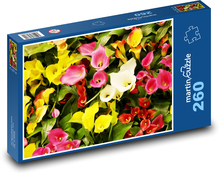 Kvety - Kala Puzzle 260 dielikov - 41 x 28,7 cm 