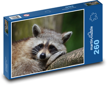 Mýval medveď Puzzle 260 dielikov - 41 x 28,7 cm 