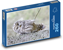 Bird - Owl Puzzle 260 pieces - 41 x 28.7 cm 