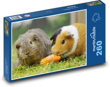 Morčata - hlodavci Puzzle 260 dílků - 41 x 28,7 cm