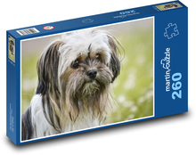 Smíšené plemeno čivavy - pes Puzzle 260 dílků - 41 x 28,7 cm