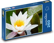 Bílý leknín - květ Puzzle 260 dílků - 41 x 28,7 cm