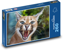 Mačka s dlhou bradou Puzzle 260 dielikov - 41 x 28,7 cm 