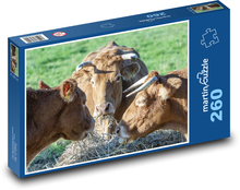 Cows Puzzle 260 pieces - 41 x 28.7 cm 