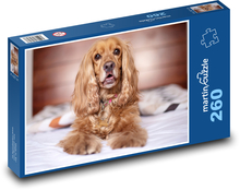 English Cocker Spaniel Puzzle 260 pieces - 41 x 28.7 cm 