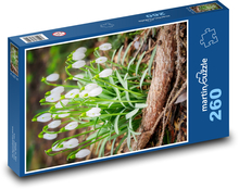 Schneeglöckchen - Frühlingsblumen Puzzle 260 Teile - 41 x28,7 cm