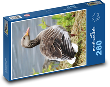 Hus - vták Puzzle 260 dielikov - 41 x 28,7 cm 