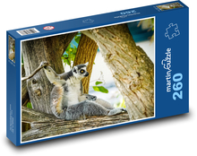 Lemur - animal Puzzle 260 pieces - 41 x 28.7 cm