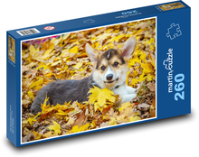 Pes - corgi v podzimním listí Puzzle 260 - 41x28,7 cm