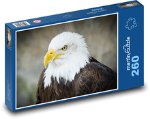 Bird - Eagle Puzzle 260 pieces - 41 x 28.7 cm 