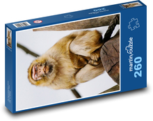 Małpa - makak Puzzle 260 elementów - 41x28,7 cm