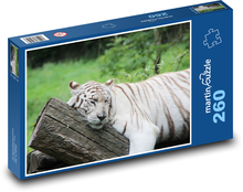 Spiaci biely tiger Puzzle 260 dielikov - 41 x 28,7 cm 