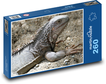 Leguán - jašterica Puzzle 260 dielikov - 41 x 28,7 cm 