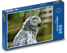 Graupapagei Puzzle 260 Teile - 41 x28,7 cm