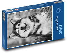 Malamute - pies Puzzle 260 elementów - 41x28,7 cm