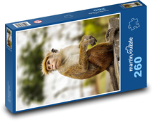 Opica - makak Puzzle 260 dielikov - 41 x 28,7 cm 