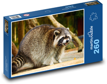 Raccoon. Puzzle 260 pieces - 41 x 28.7 cm