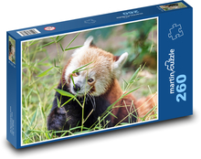 panda červená Puzzle 260 dielikov - 41 x 28,7 cm