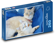 Kätzchen mit Mutter Puzzle 260 Teile - 41 x28,7 cm