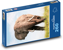 Elephant Puzzle 260 pieces - 41 x 28.7 cm 