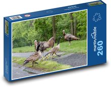 Moriak - kačica Puzzle 260 dielikov - 41 x 28,7 cm