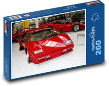 Car - Museum Puzzle 260 pieces - 41 x 28.7 cm 