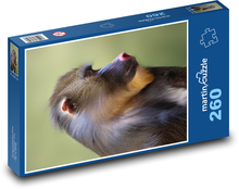 Małpy Puzzle 260 elementów - 41x28,7 cm